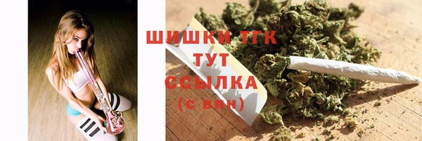 сатива Богородск