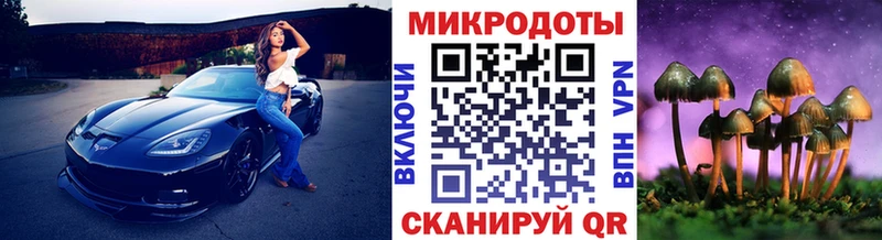 Псилоцибиновые грибы мицелий  OMG онион  Северск 
