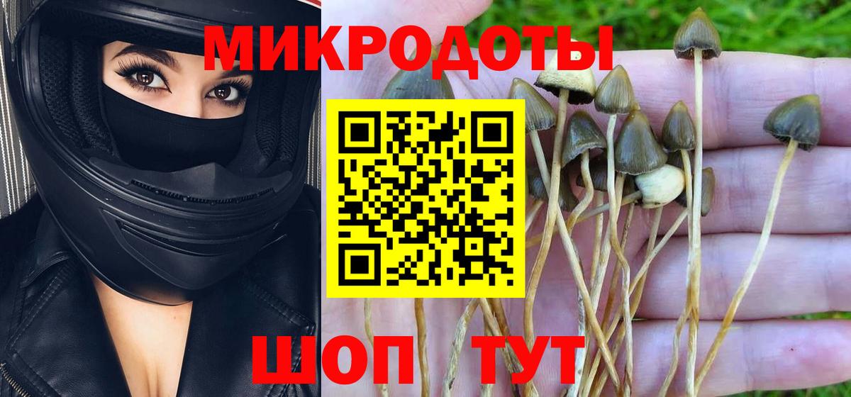 Северск  Галлюциногенные грибы Magic Shrooms  Псилоцибиновые грибы прущие грибы  Вход с VPN 